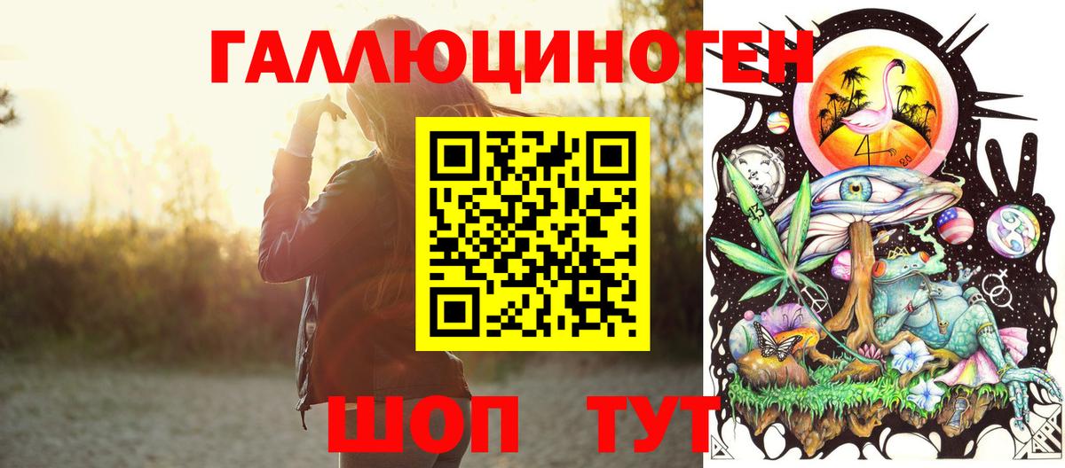 Галлюциногенные грибы Psilocybine cubensis Петропавловск-Камчатский