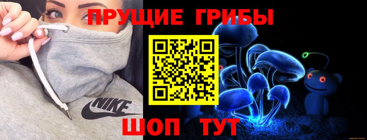 как найти   Псилоцибиновые грибы Cubensis  Петропавловск-Камчатский  Вход с VPN  Галлюциногенные грибы ЛСД 